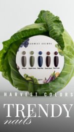HARVEST COLLECTION Gel Polish Color