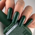 HeyLove Gel Polish Color - Image 9