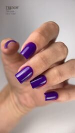 PURPLE/VIOLET Collection Gel Polish Color - Image 8